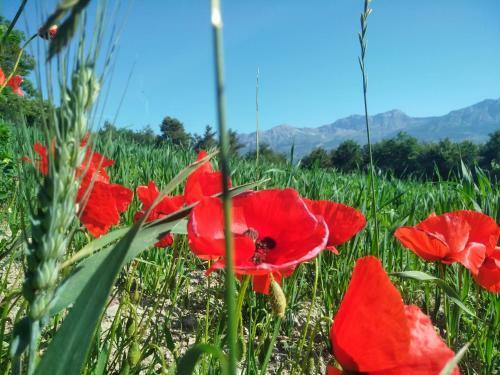 Villa L'epicl�a