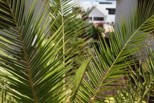 Hostal Casilla De Costa - Dulcinea - Villaverde