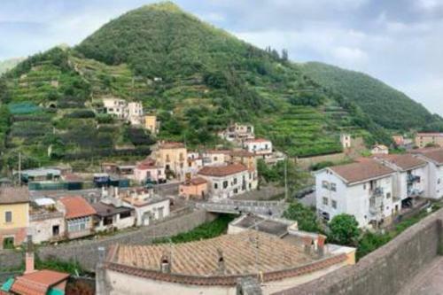 Apartamento Gerardo Vit