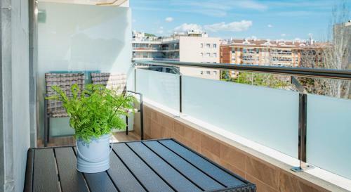 Apartamento Parrot`s House Fenals