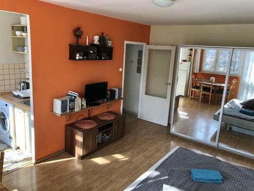 Apartment Orangine