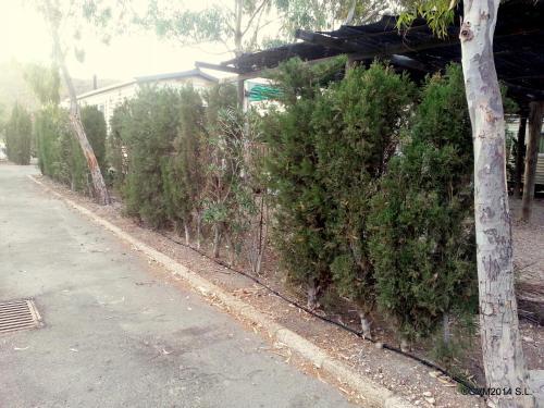 Centro Vacacional Macenas