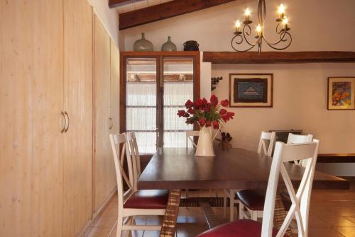 Villa Can Negri