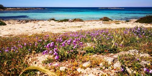 Villa Rustica Al Mare