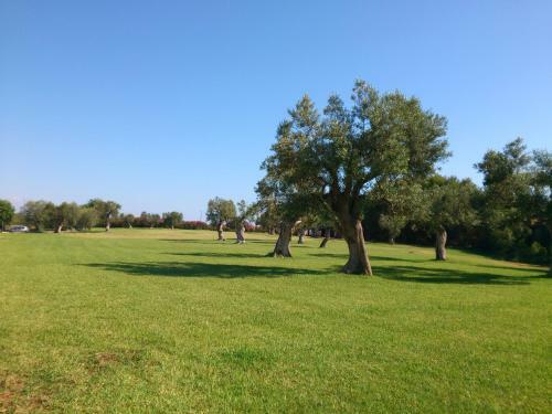 Villetta Porto Selvaggio