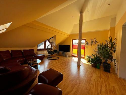 Apartament Maximo