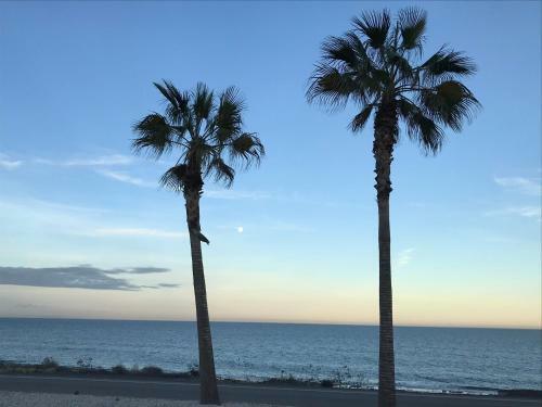 Apartamento Flamingo Moj�car
