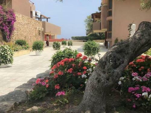 Simplistic Apartment In Olbia With Garden