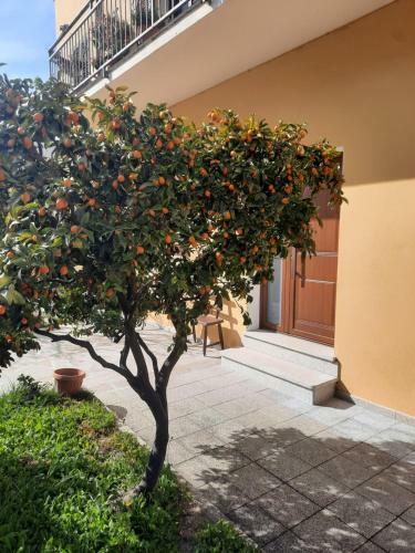 Via Carducci City Apartment
