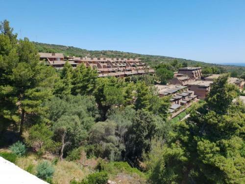 Amazing Apartment In Olbia With Shared Pool