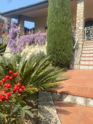 B&B Fior Di Toscana