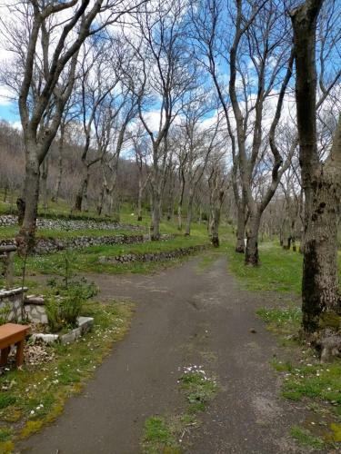 Agroturismo Baita Fratelli Cantone