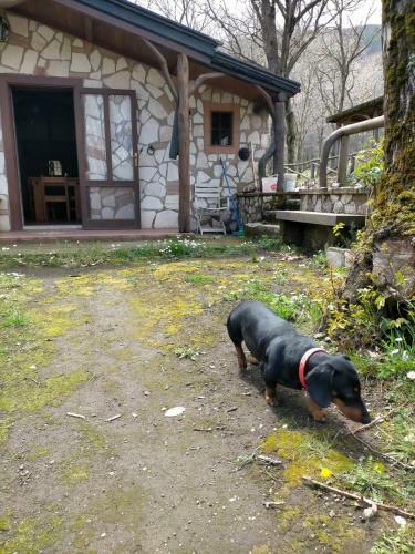 Agroturismo Baita Fratelli Cantone