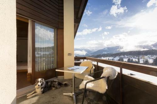 T3 Alpenhotel Flims