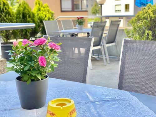 Hotel Hirschen Hinwil