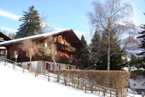 Apartamento Chalet Gr�negg