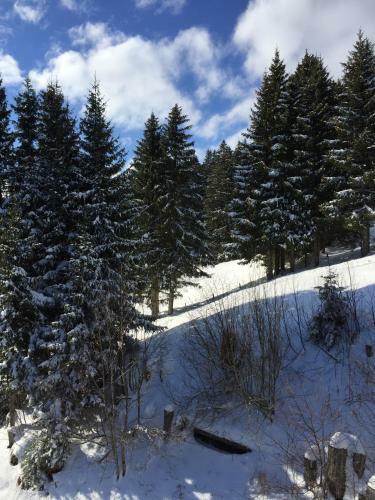 Apartamento Chalet Gr�negg