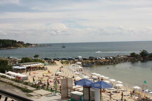 Hostal Villa Amadeus