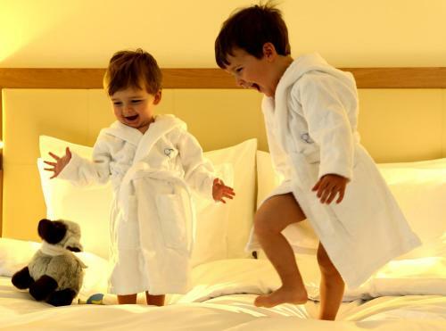 Hotel H�tel Les Sources Des Alpes