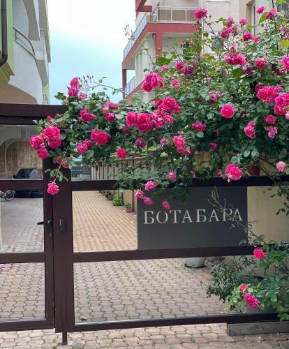 Apartments In Botabara