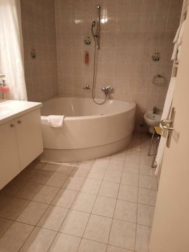 Hotel Colibr�