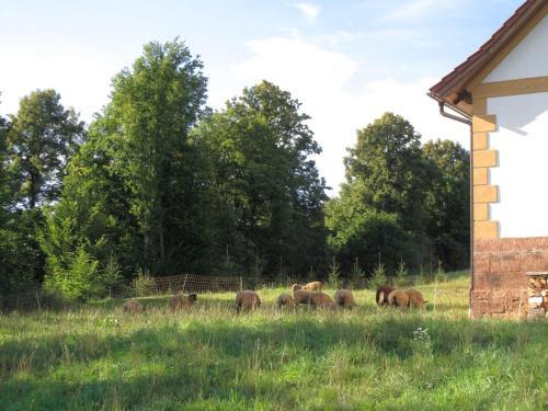 Holiday Home Doln� Ole?nice