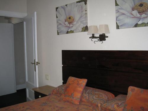 Hostal Canig�