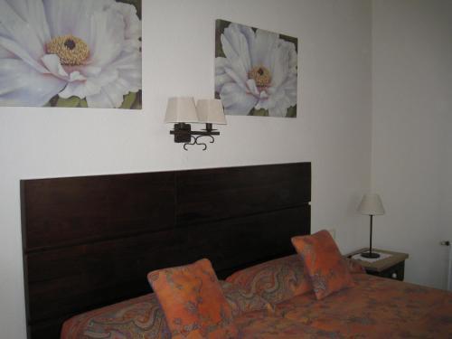 Hostal Canig�