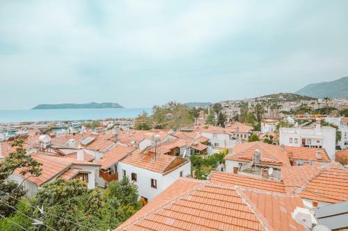 Kuytu Terrace Bed And Breakfast