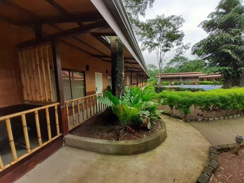 Hotel Lapas Volando
