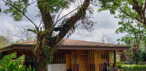 Hotel Lapas Volando