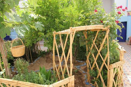 Hostal Escale Rando Taliouine