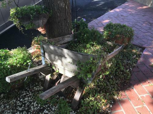 Ten Dollar Town Motel