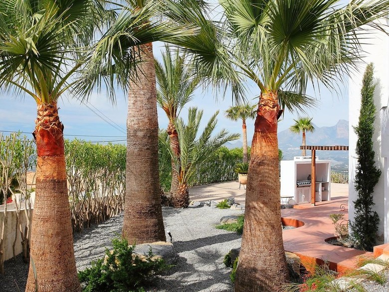 Villa Palm Spring