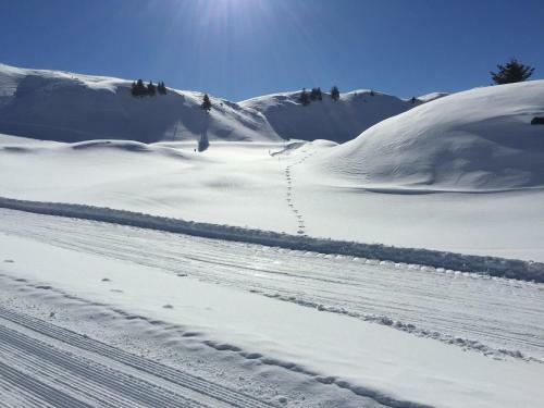 Apartamento Appartements Ski Rent Michael