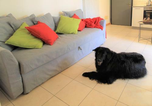 Apartamentos Haus Martina By Isa Agentur
