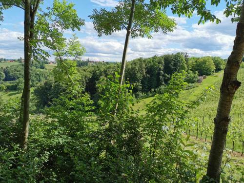 Agroturismo Weingut Assigal