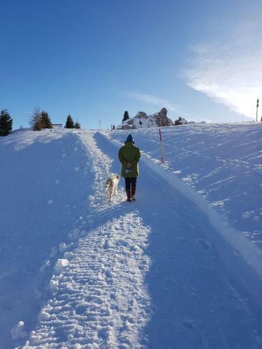 Agroturismo Pension Walkerbach