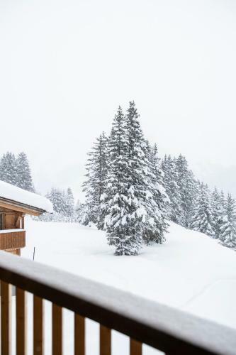 Hotel & Chalet Montana