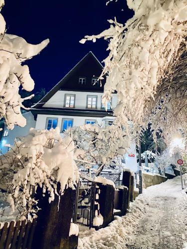 Bed And Breakfast Olten