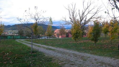 Camping A�n