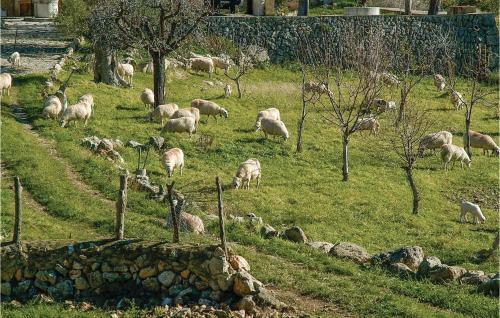 Holiday Home S.fuster,sector2,parc