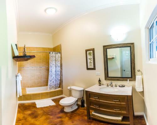 Blue Paloma Bed & Breakfast