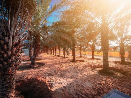 Palm Escape - Luxurious 2 Bedrooms Chalet