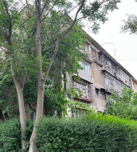 Apartment Tashkent , ??????????? ???????