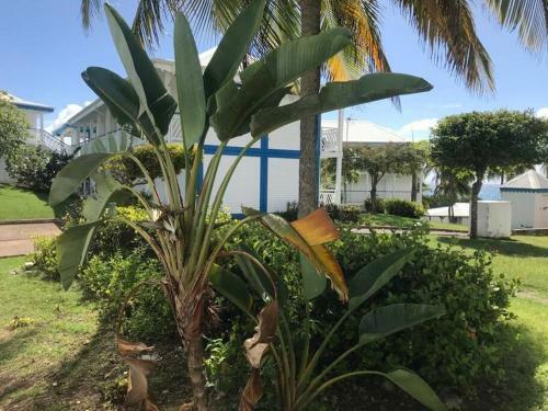 Apartamento Superbe Appartement Vue Mer
