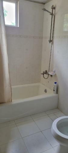 Hostal Wanihouse