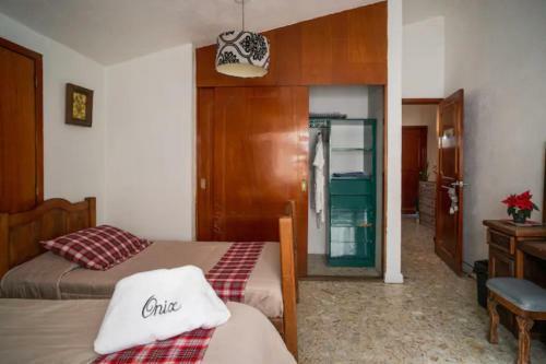 Pichu Home