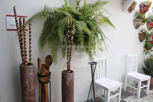 Hostal El Rinc�n De Jesusita