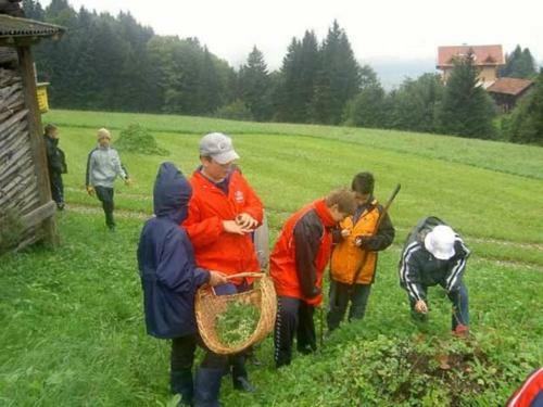 Hostal Hausbergerhof G�stehaus Ainberger